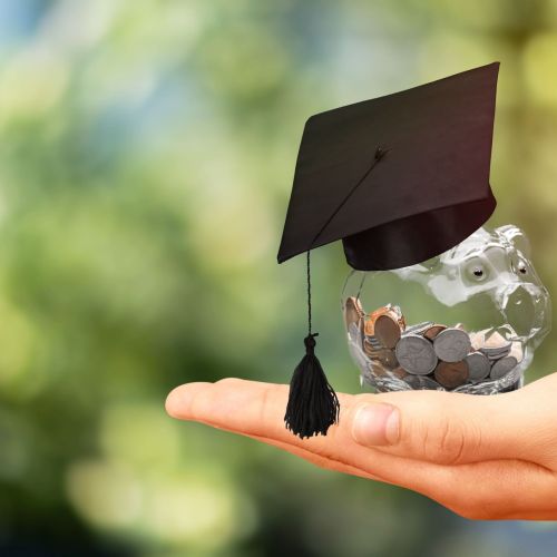 Education scholarship student icon investment money academic